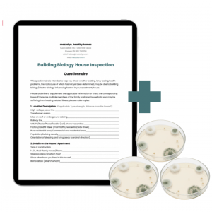 Teste de Bolor, Baubiologia, Teste de Ar Bolor, 3 Amostras, Teste Profissional, Análise de Bolor, Análise Laboratorial, Avaliação Baubiológica, Casa Saudável, Humidade, Esporos de Fungos, Qualidade do Ar Interior, Poluentes Interiores, Plano de Ação, Avaliação de Risco, Baubiólogo, GHP, Ventilação, Remover Bolor, Espécies de Bolor, Remediação, Bau-Biologie, Contaminação por Bolor.