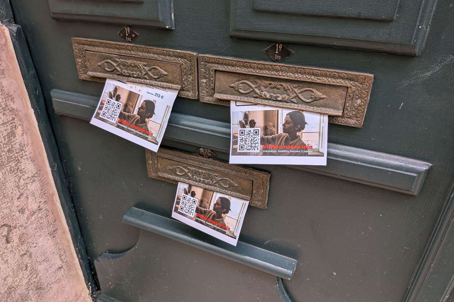 Bolor Lisboa Portugal